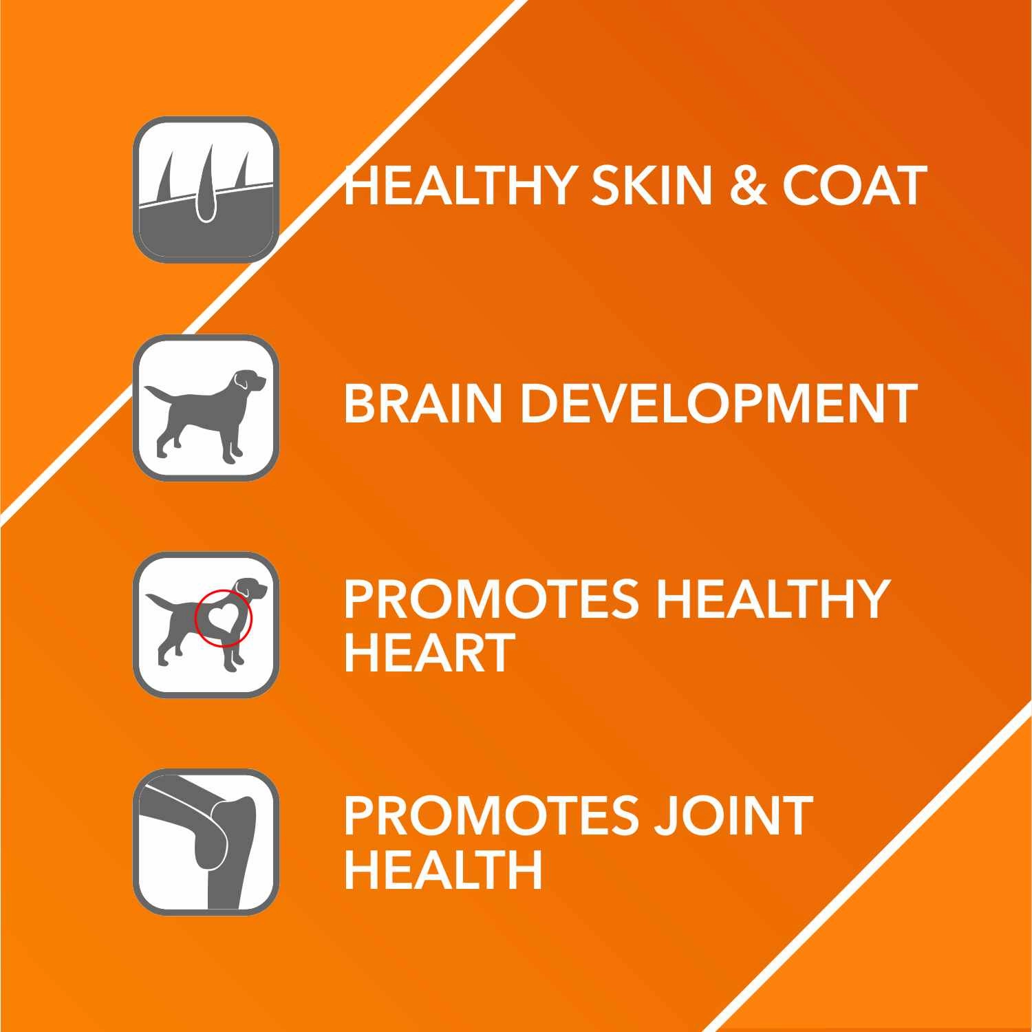 Drools Absolute Salmon Oil Syrup Supplement and Vitamin Supplement Tablets for Dogs Combo