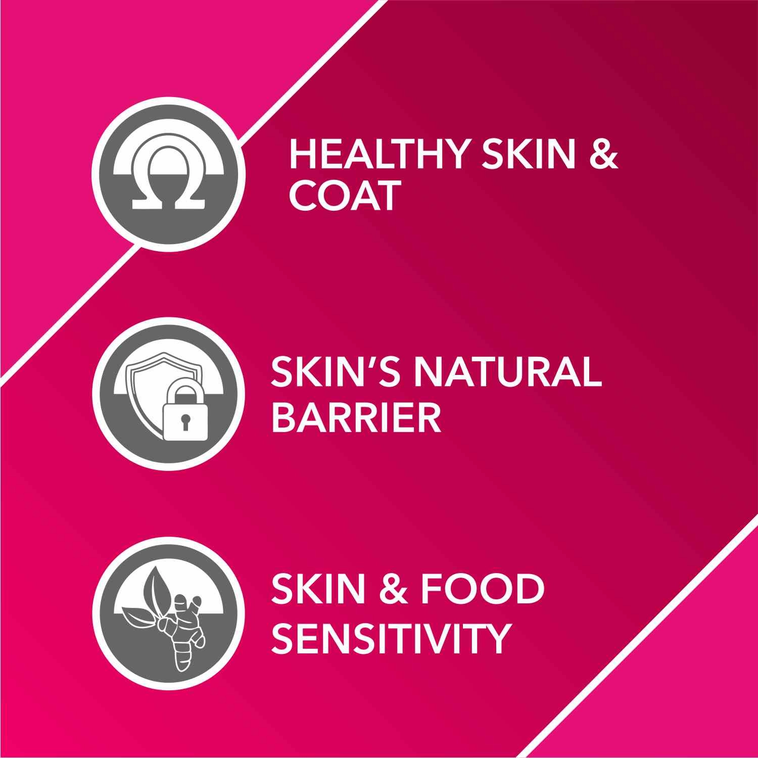 Drools Absolute Skin & Coat and  Absolute Calcium Dog Supplement Tablets Combo