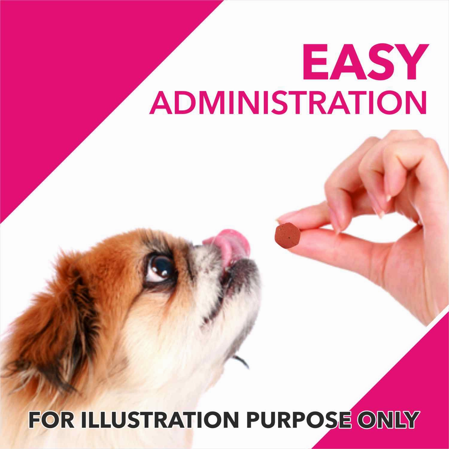 Drools Absolute Skin & Coat and  Absolute Calcium Dog Supplement Tablets Combo