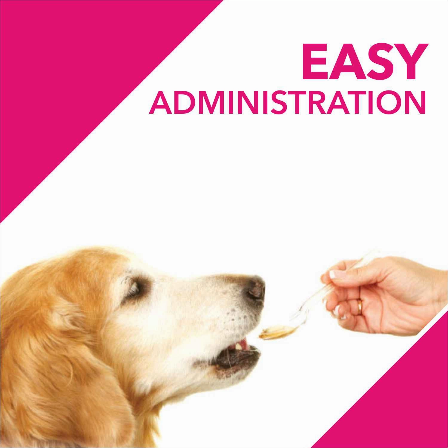 Drools Absolute Skin & Coat Syrup Supplement for Dogs