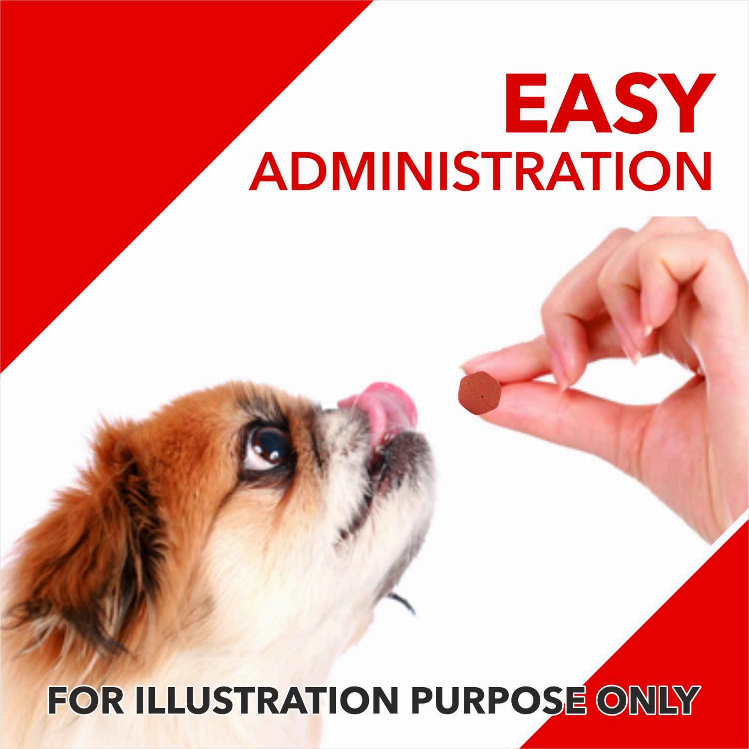 Drools Absolute Vitamin and Absolute Calcium Supplement Tablets for Dogs Combo