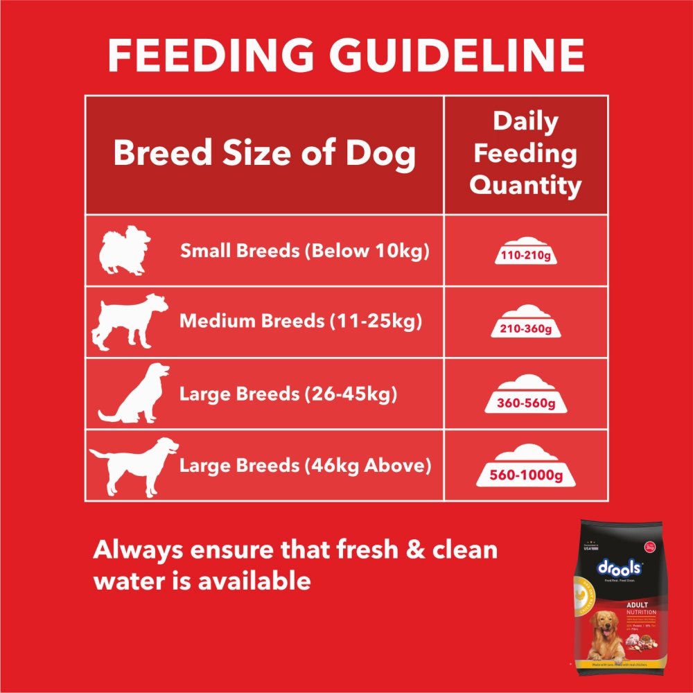 Drools Chicken and Egg Adult Dog Dry Food