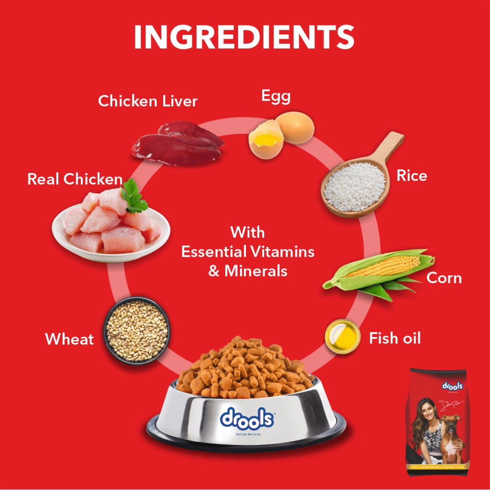Drools Chicken and Egg Adult Dog Dry Food