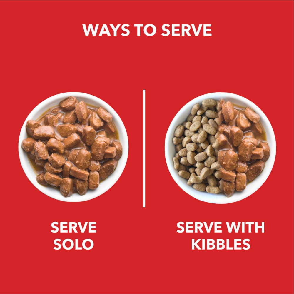 Drools Focus Super Premium Dry Food and Chicken & Chicken Liver Chunks in Gravy Puppy Dog Wet Food Combo