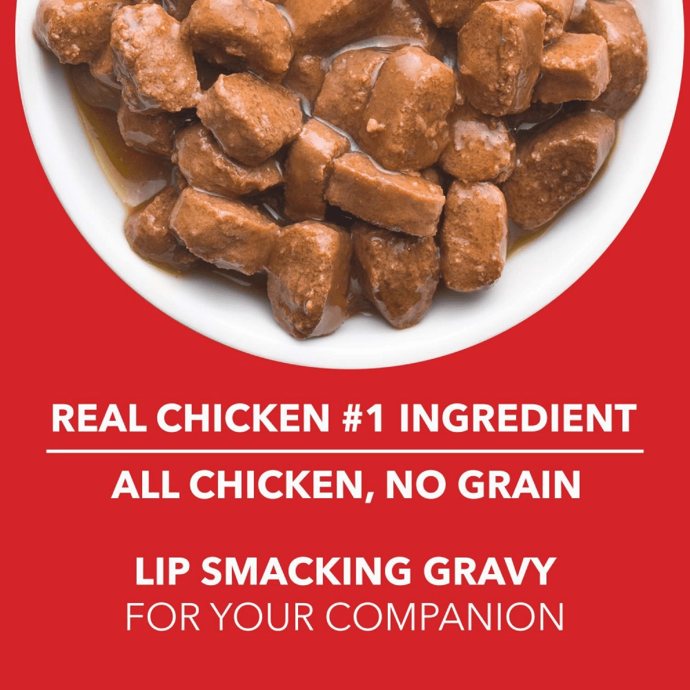 Drools Focus Super Premium Dry Food and Chicken & Liver Chunks in Gravy Adult Dog Wet Food Combo