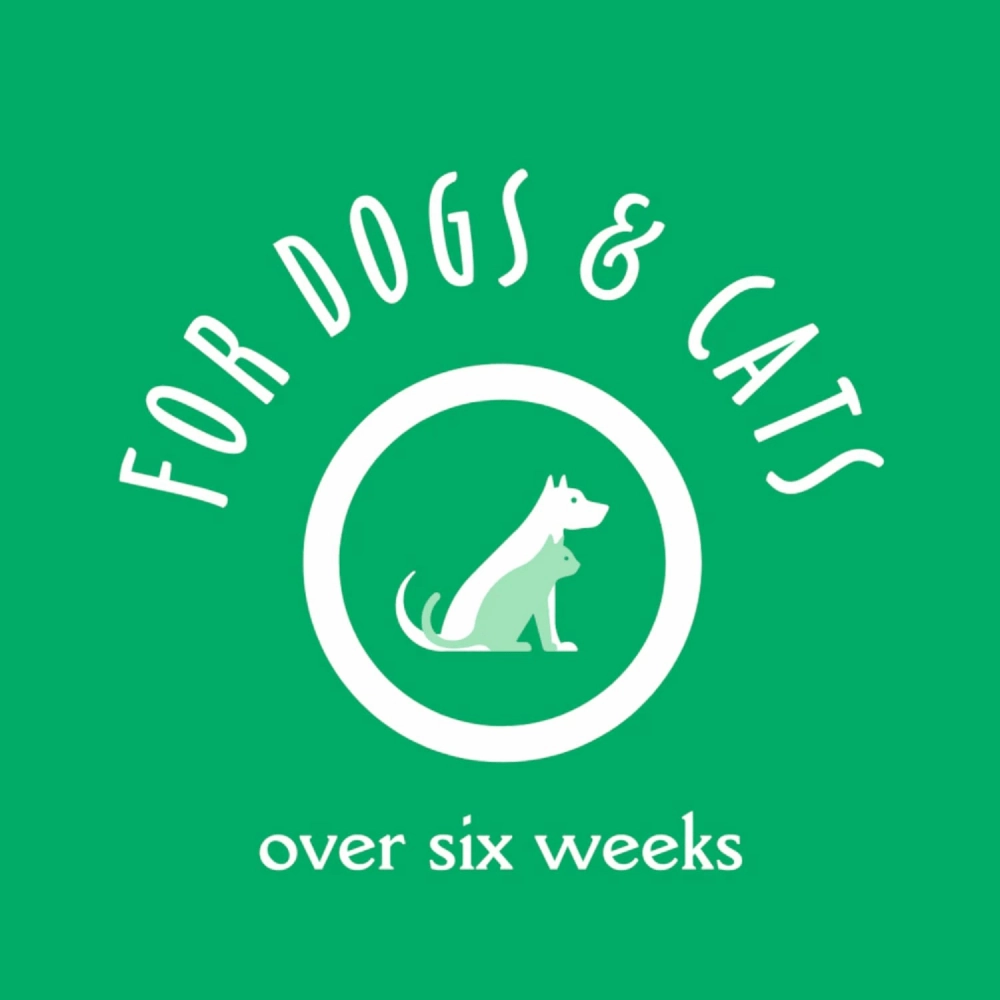 EarthBath Peppermint Flavor Tooth & Gum Wipes for Dogs and Cats