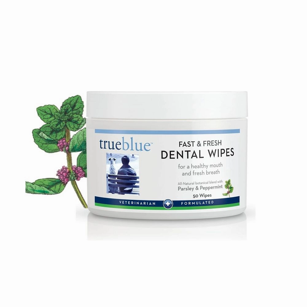 Fast & Fresh Dental Wipes