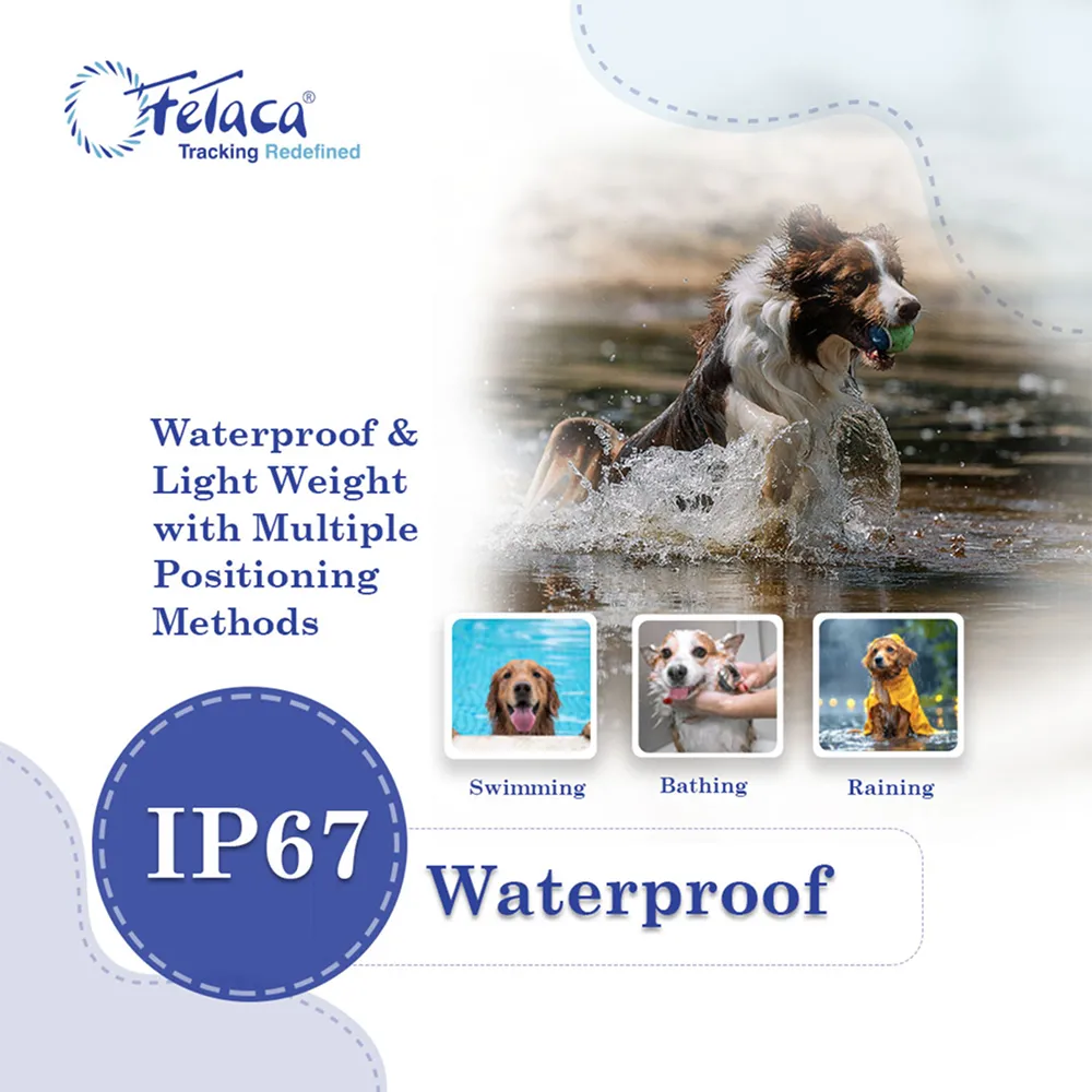FeTaca Smart 4G Waterproof GPS Tracker & Activity with Lifetime Free Tracking & 1 Year Data SIM Subscription for Dogs & Cats (Black)