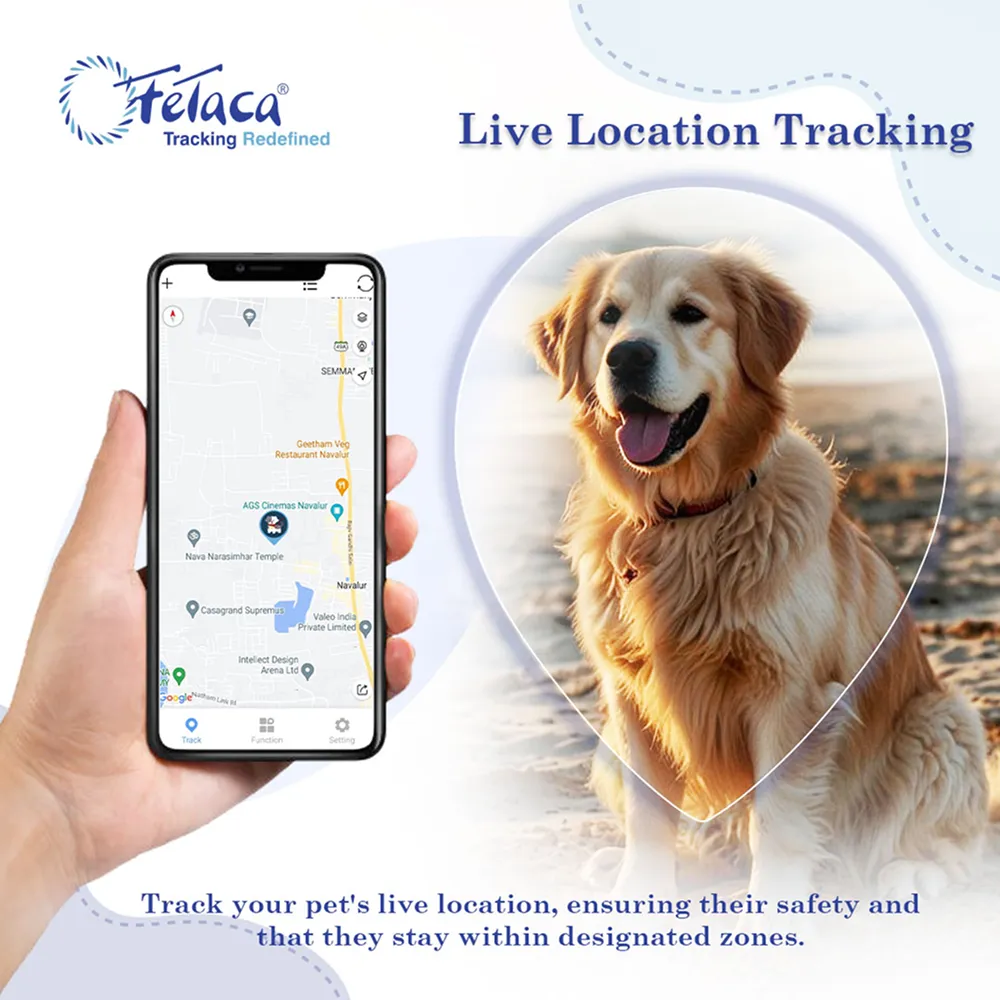 FeTaca Smart 4G Waterproof GPS Tracker & Activity with Lifetime Free Tracking & 1 Year Data SIM Subscription for Dogs & Cats (Black)