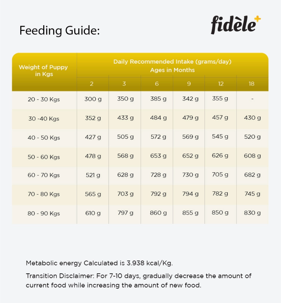 Fidele Plus Large Puppy Dry Food