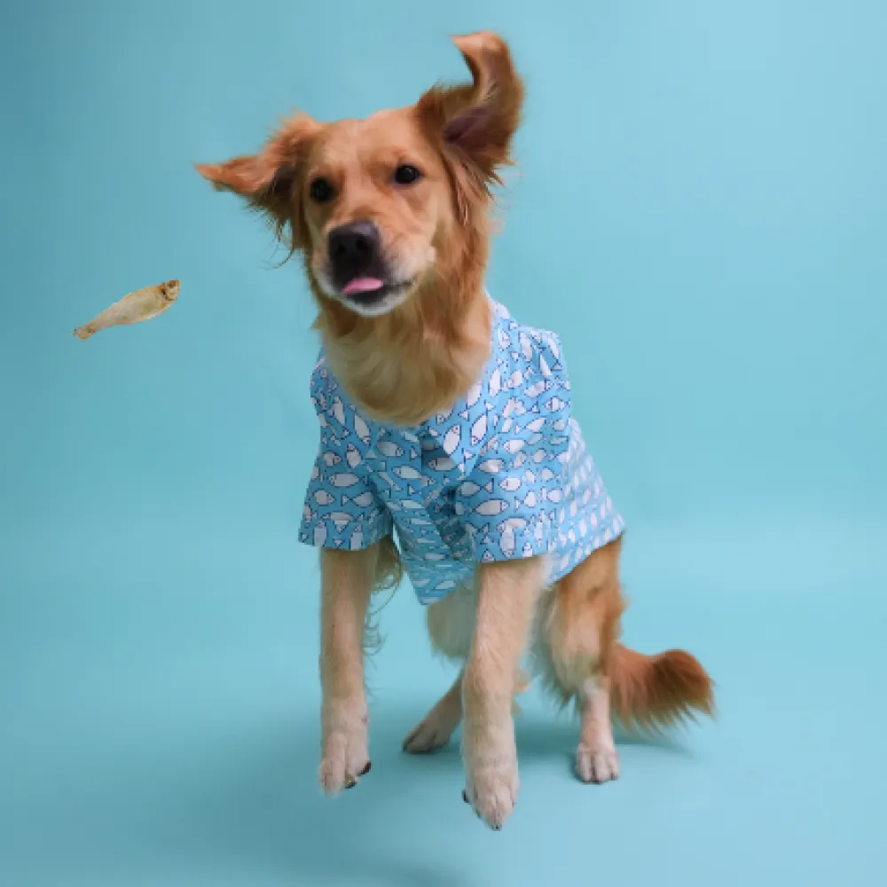 Floof & Co Fish Print Cotton Shirt for Dogs (Blue)