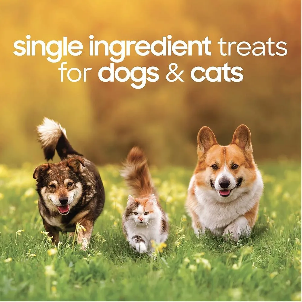 Freeze Dried Turkey Hearts Dog Treats