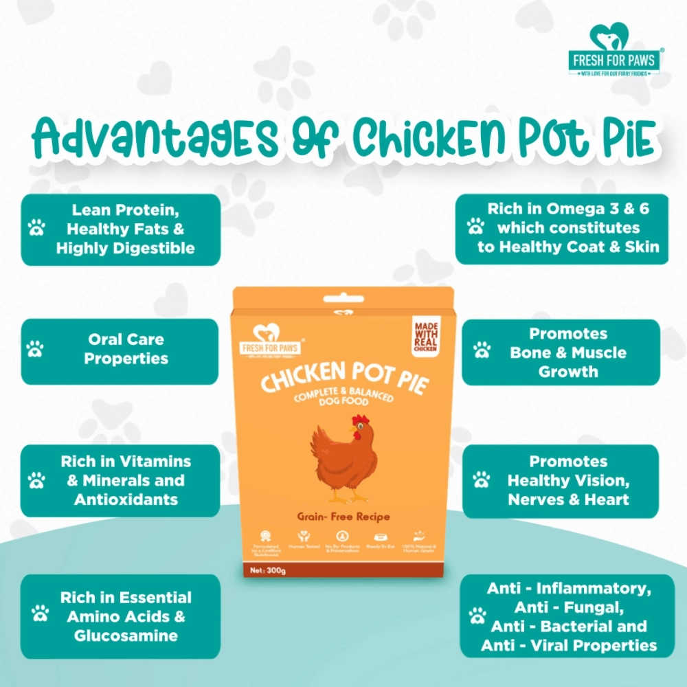 Fresh For Paws Chicken Pot Pie Wet Food for Dogs (100g)