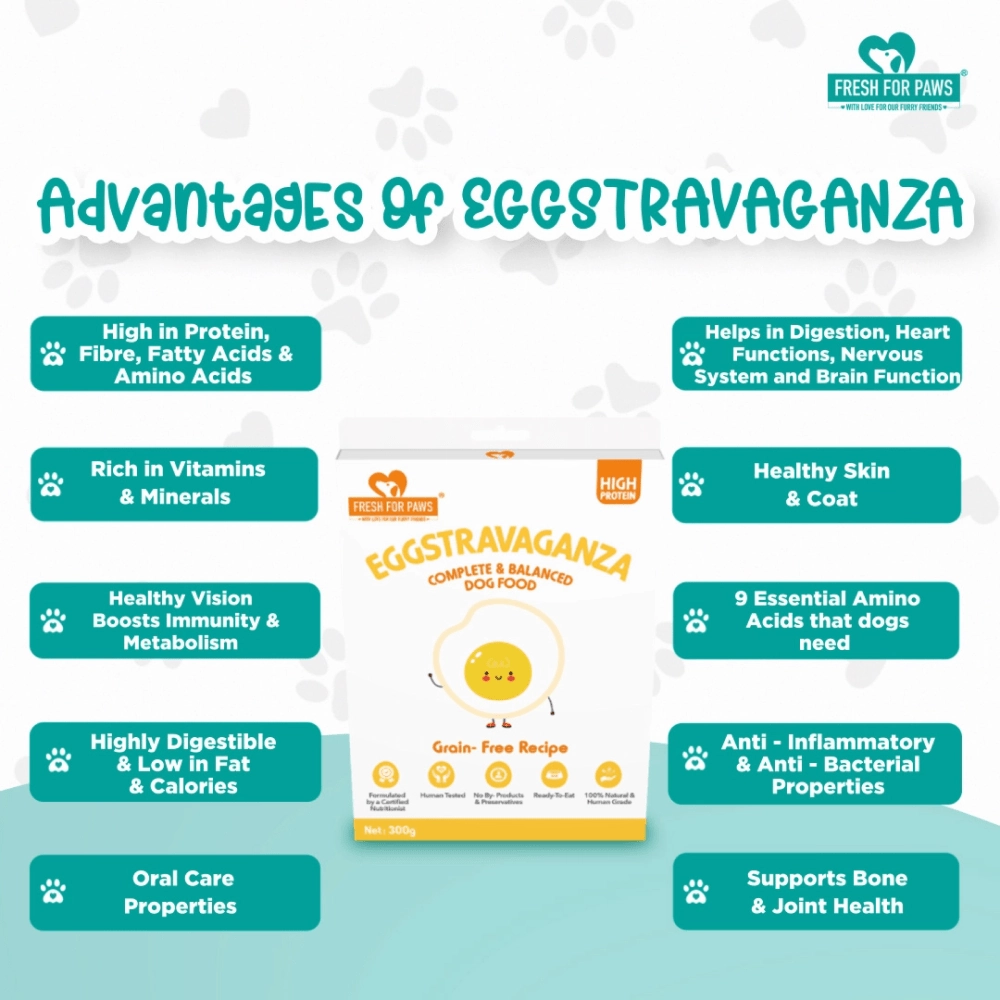Fresh For Paws Eggstravaganza Dog Wet Food (100g)