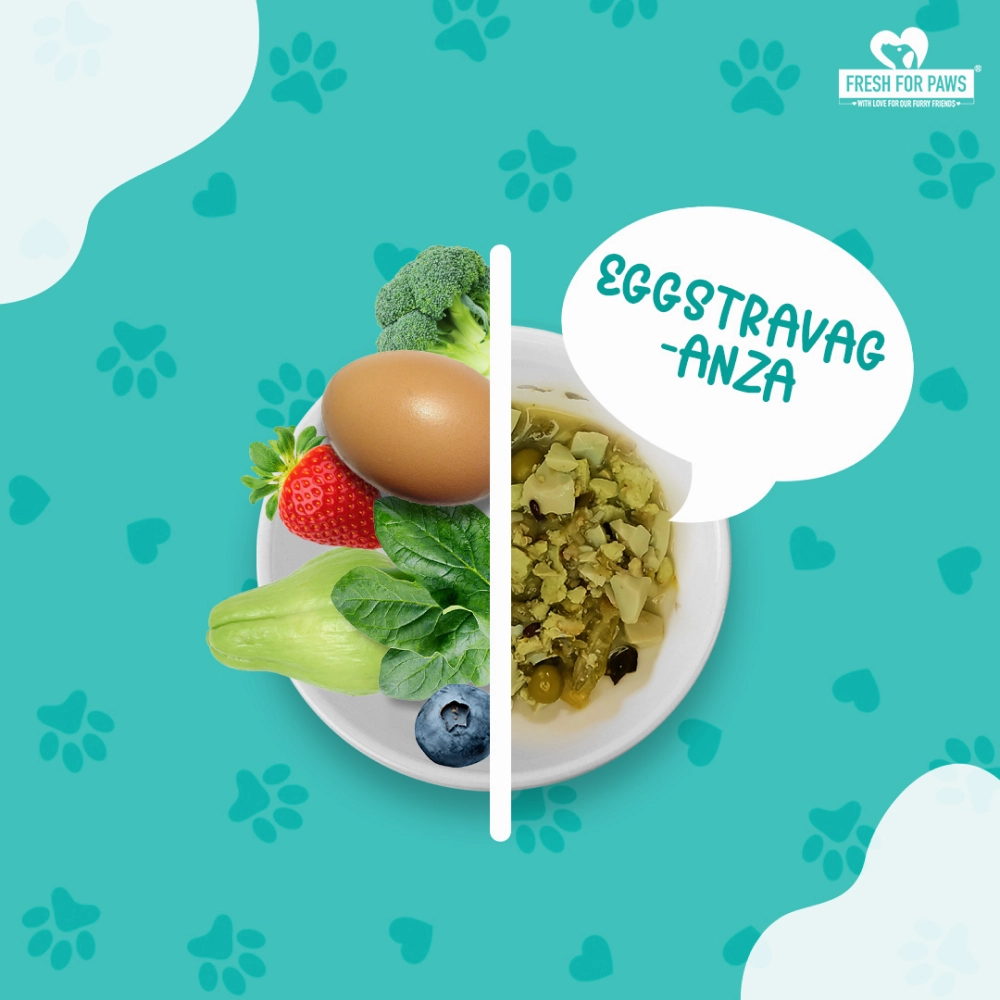 Fresh For Paws Eggstravaganza Dog Wet Food (100g)