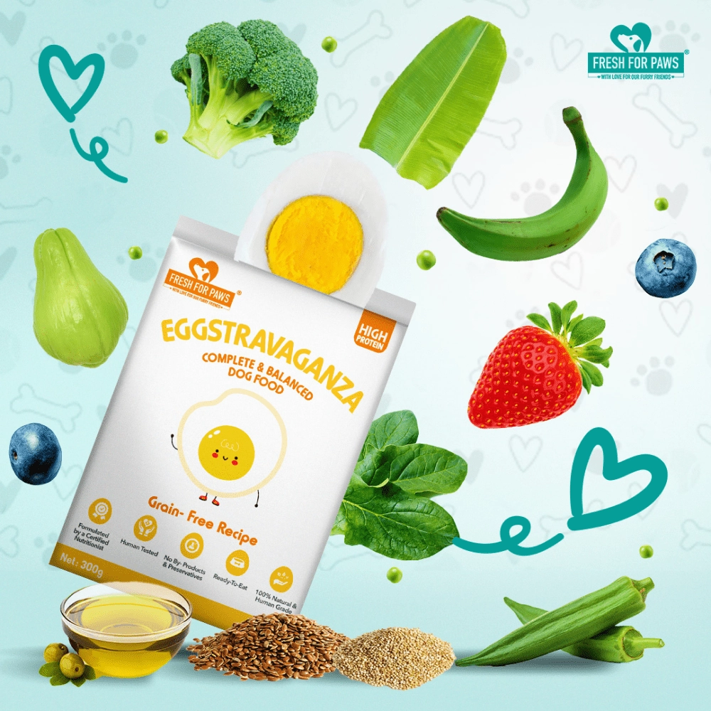 Fresh For Paws Eggstravaganza Dog Wet Food (300g)