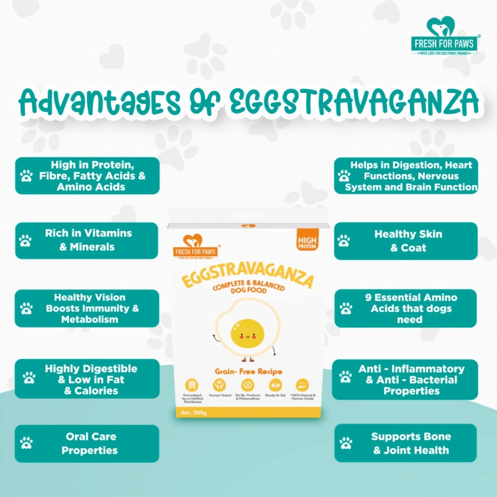 Fresh For Paws Eggstravaganza Dog Wet Food (300g)