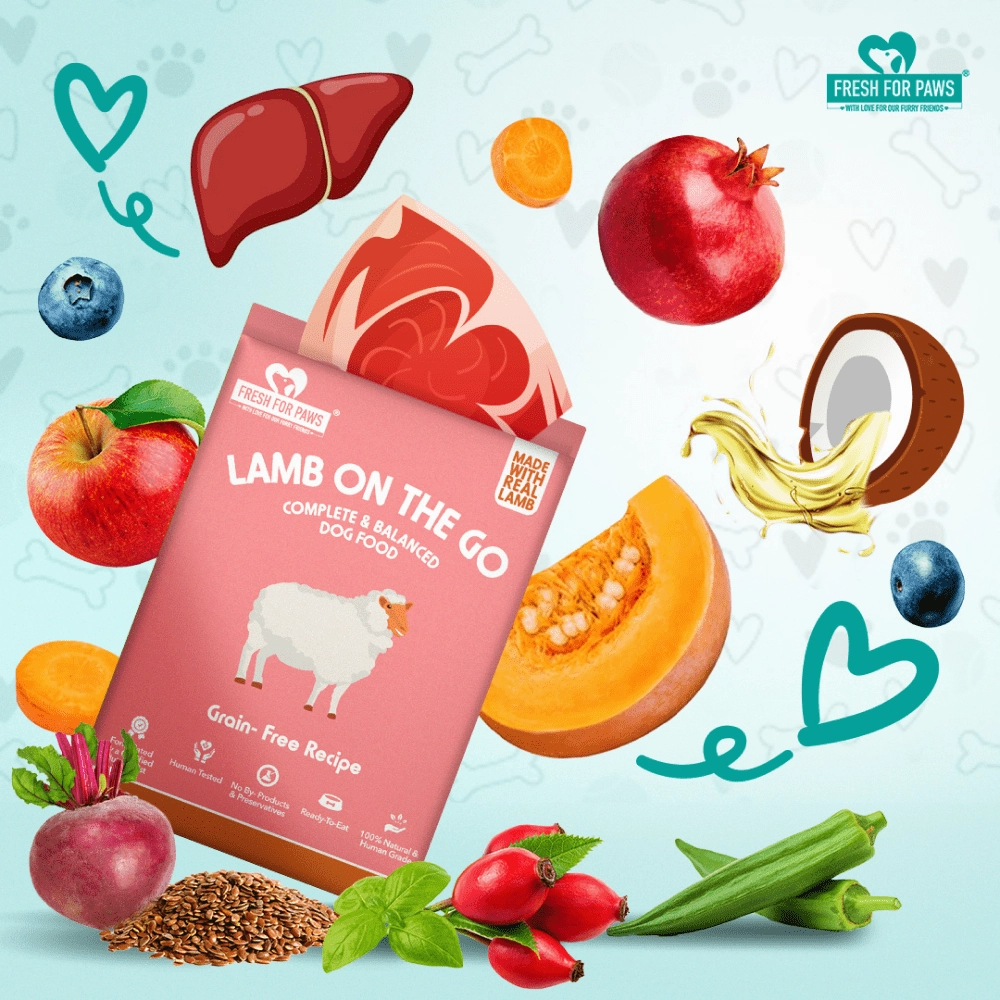 Fresh For Paws Lamb On The Go Dog Wet Food (300g)
