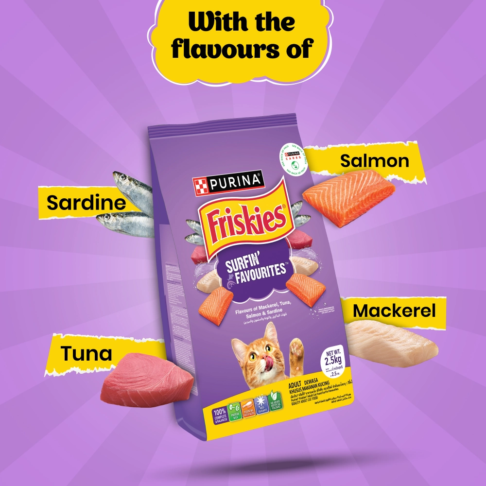 Friskies Surfin Cat Dry Food and Purina Felix Chicken with Jelly Adult Cat Wet Food Combo