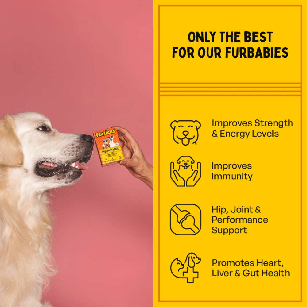 Furlicks Multivitamin for Cats and Dogs