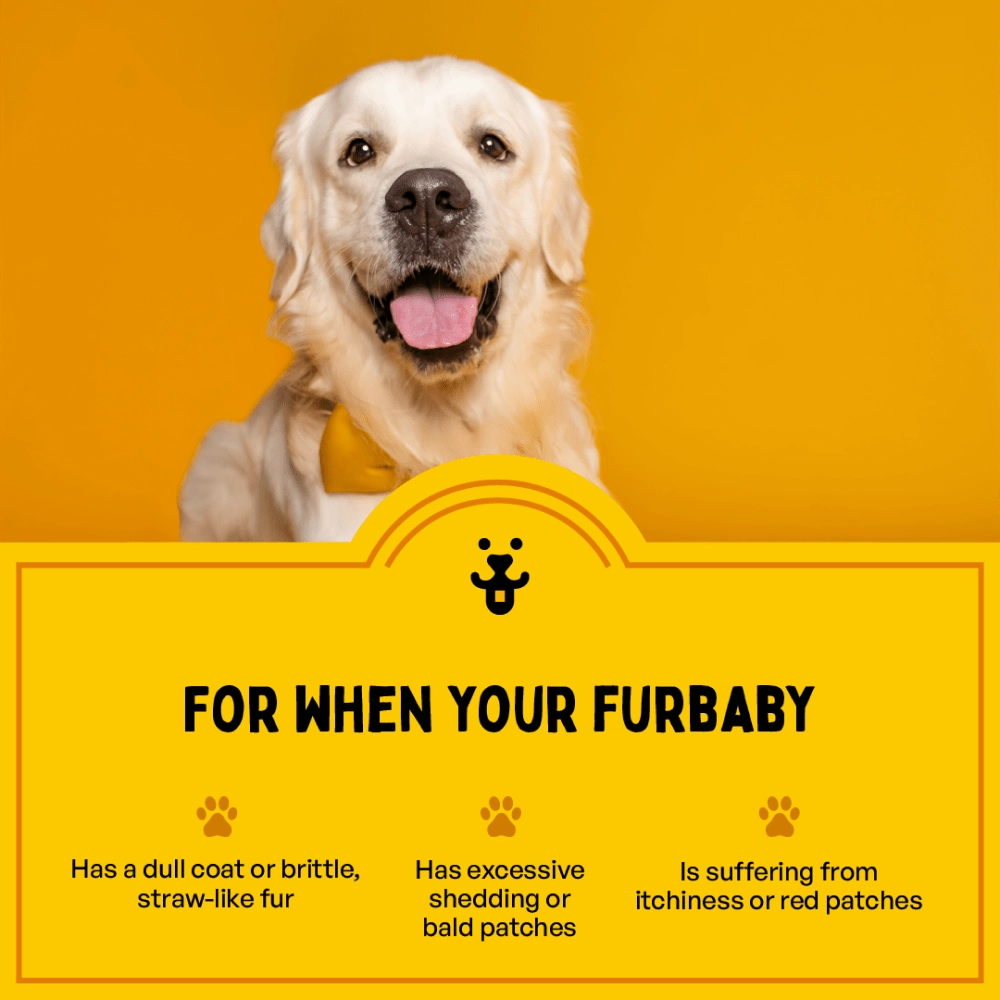 Furlicks Skin & Coat Supplement and Chip Chops Chicken and Codfish Rolls Treats Combo for Dogs