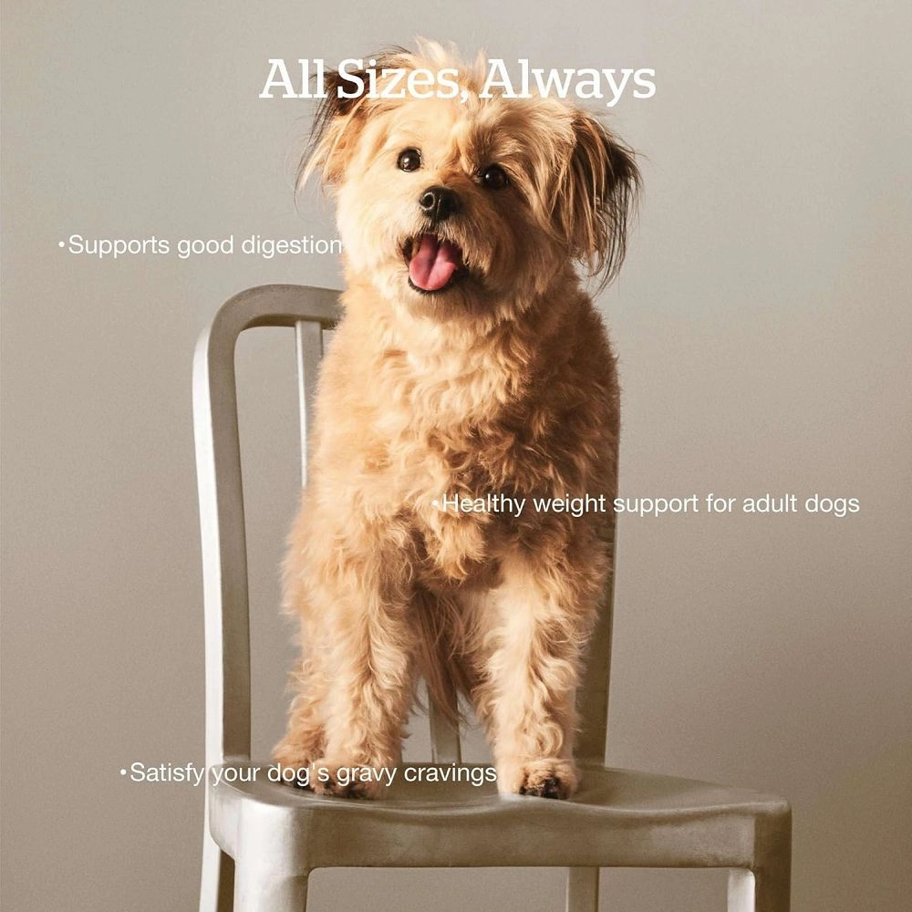 Good Gravy - Cage-Free Chicken Coated in Bone Broth Adult Dog Dry Food