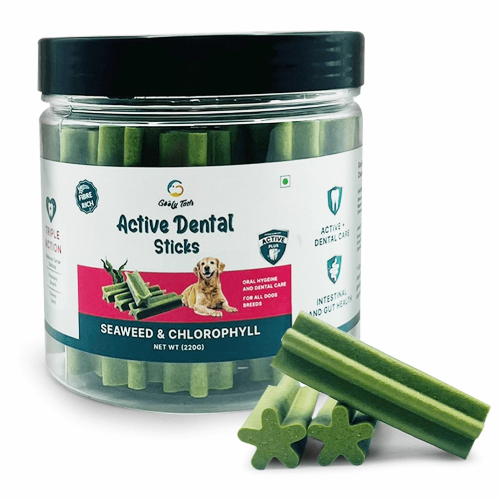 Goofy Tails Seaweed Active Dental Twists Dog Treats
