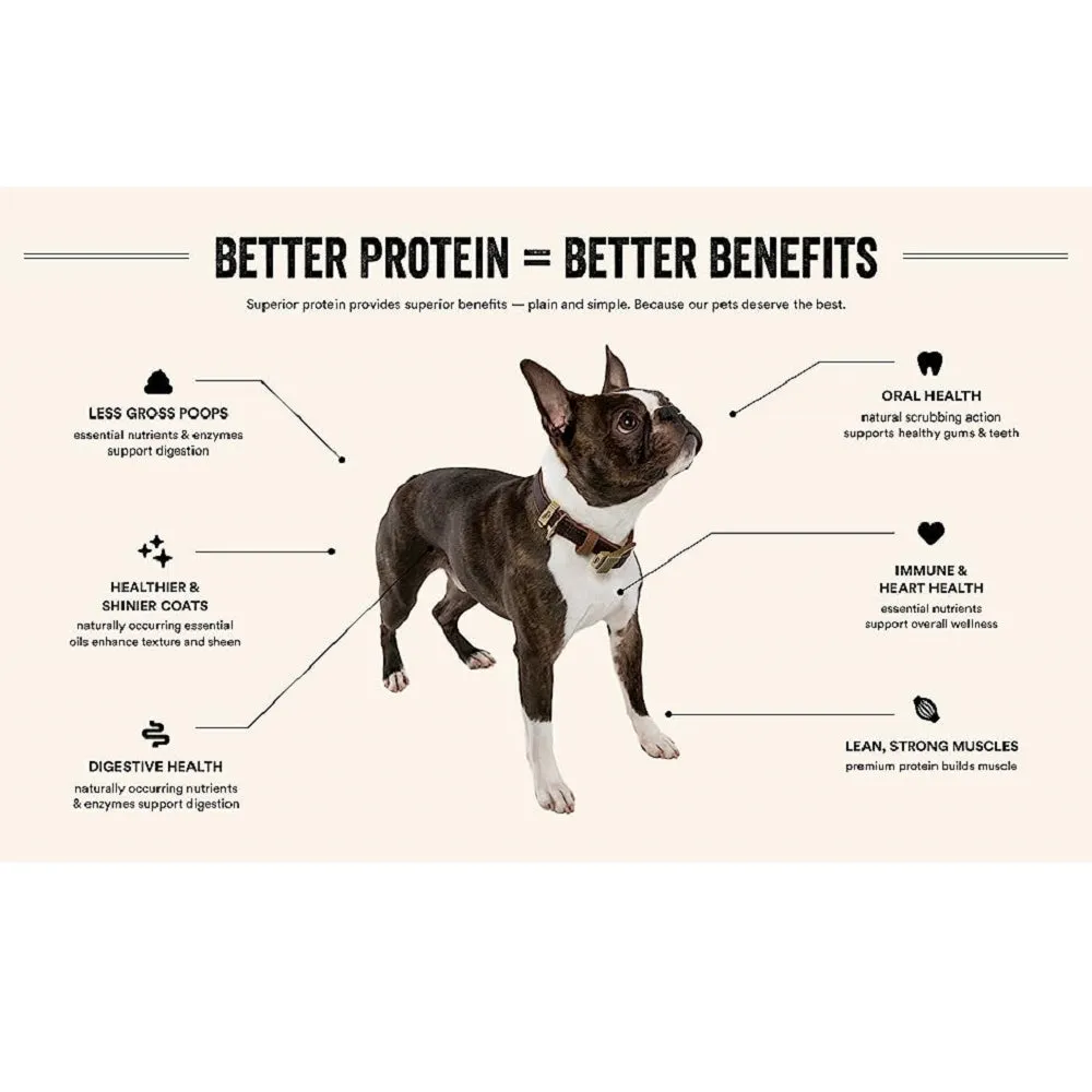 Grain Free Freeze Dried Minnows Dog Treats