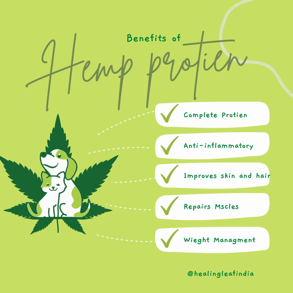 Healing Leaf Hemp Protein Powder for Dogs and Cats