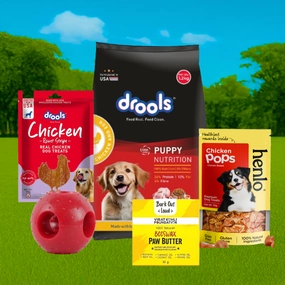 Henlo & Drools Treats, Bark Out Loud Paw Butter, Drools Puppy Food & Teething Toy Limited Puppy Hamper