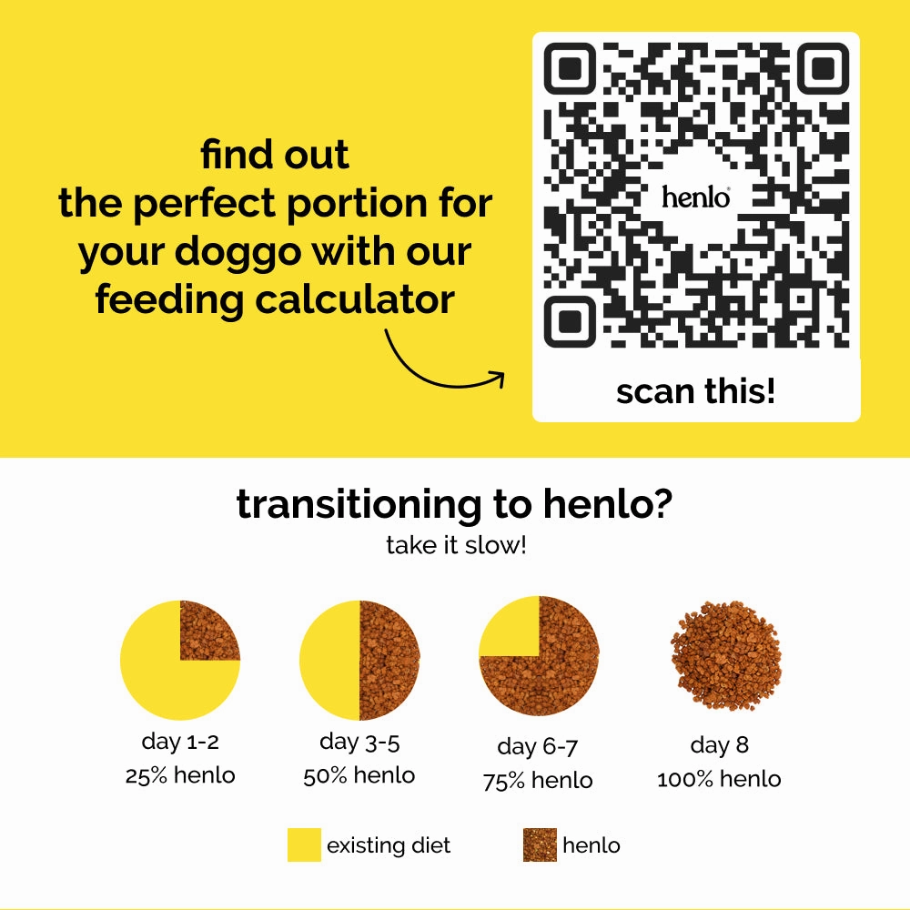 Henlo Chicken and Egg Baked Dry Food for Adult Dogs & Puppies and Chicken Pops Treats for Dogs Combo