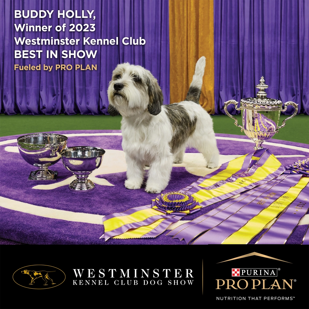 Henlo Jerky, JerHigh Soft, Bark Out Loud En Dewor Dewormer, Pro Plan Dry Food & Goofy Tails Chew Toy Limited Dog Hamper