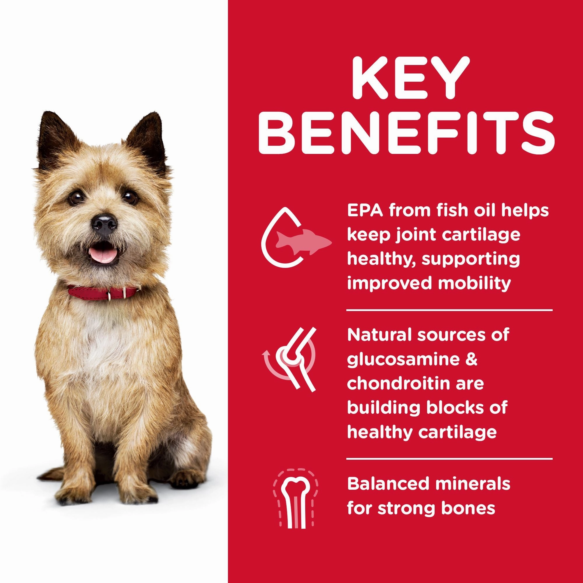 Hill's Science Diet Adult Healthy Mobility Small Bites Dry Dog Food, Chicken Meal, Brown Rice & Barley Recipe