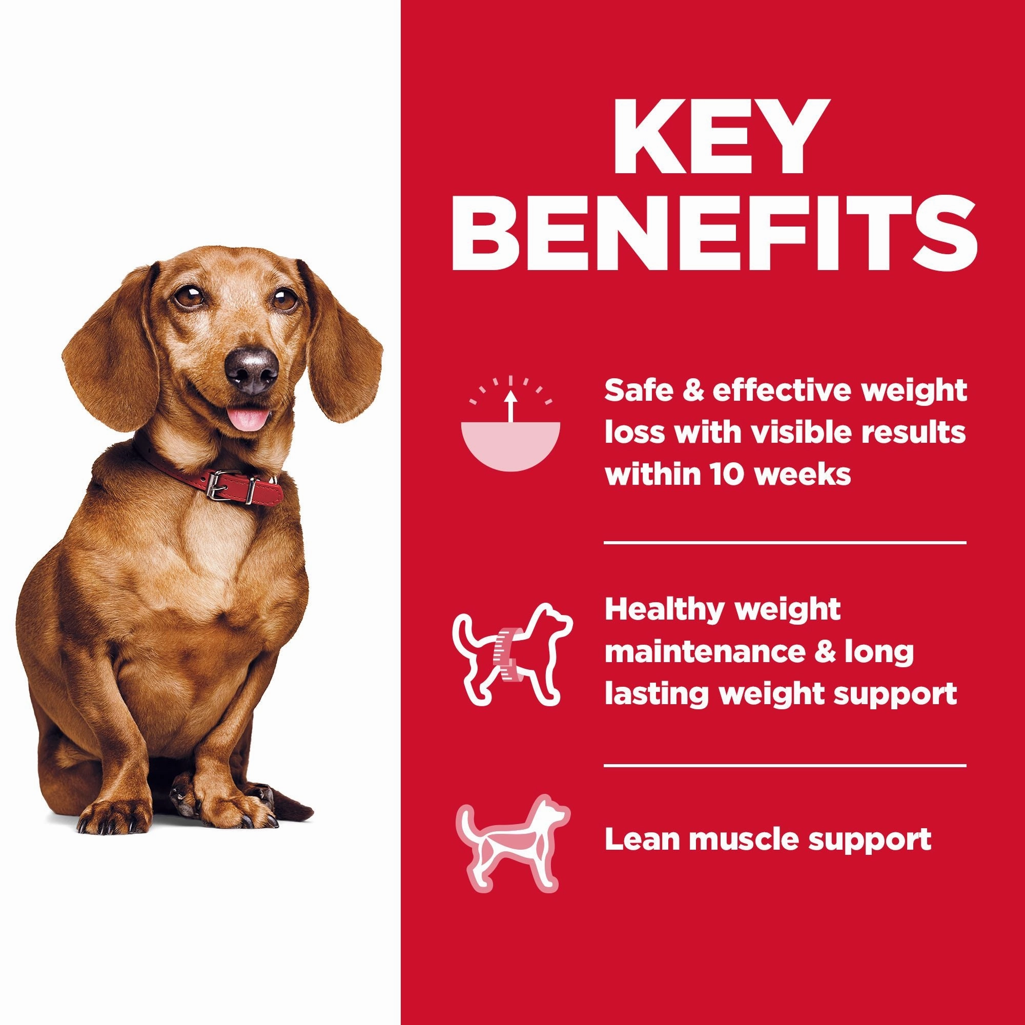 Hill's Science Diet Adult Perfect Weight Small & Mini Dry Dog Food, Chicken Recipe