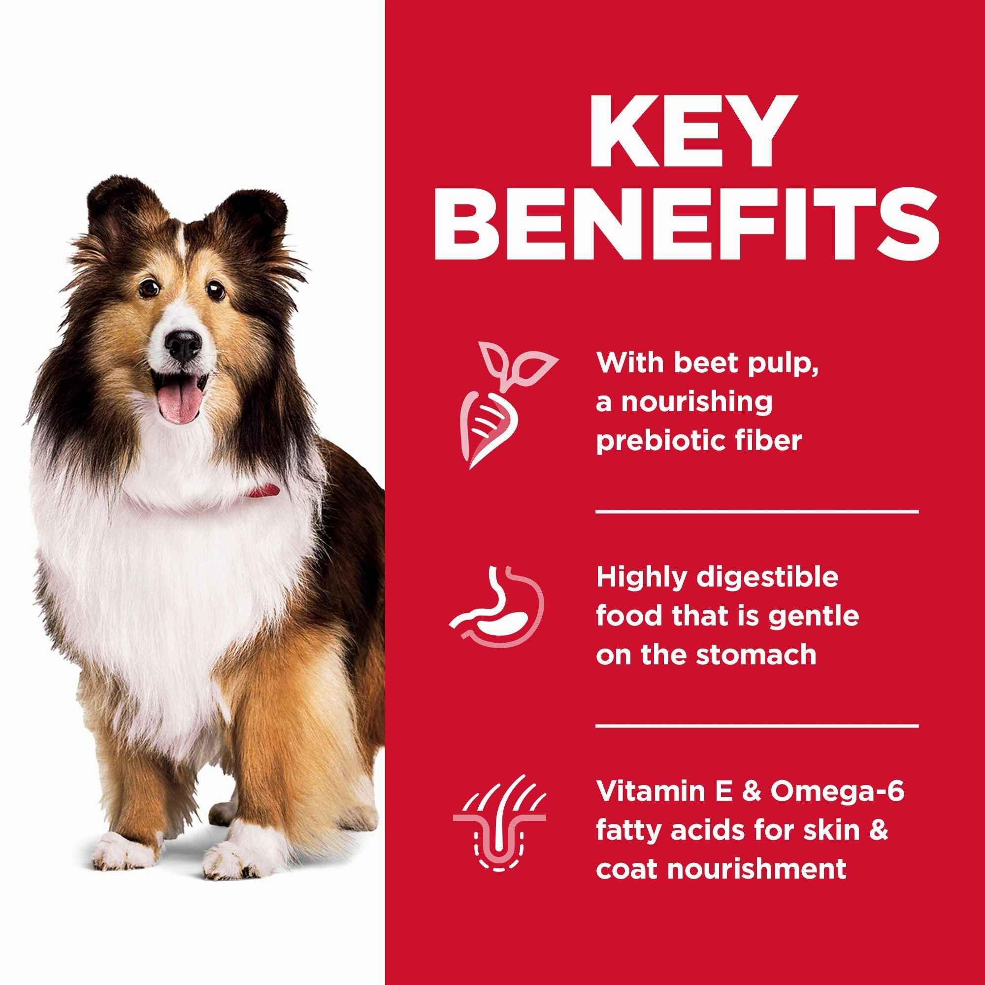 Hill's Science Diet Adult Sensitive Stomach & Skin Dry Dog Food, Chicken Recipe