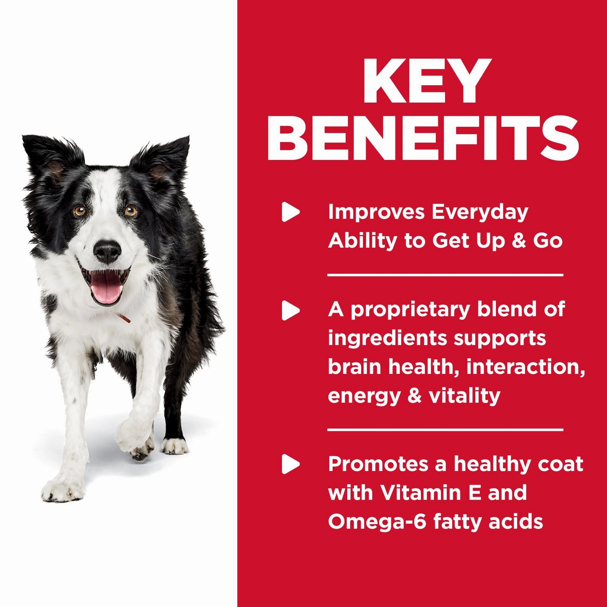 Hill's Science Diet Senior 7  Senior Vitality Dry Dog Food, Chicken & Rice Recipe