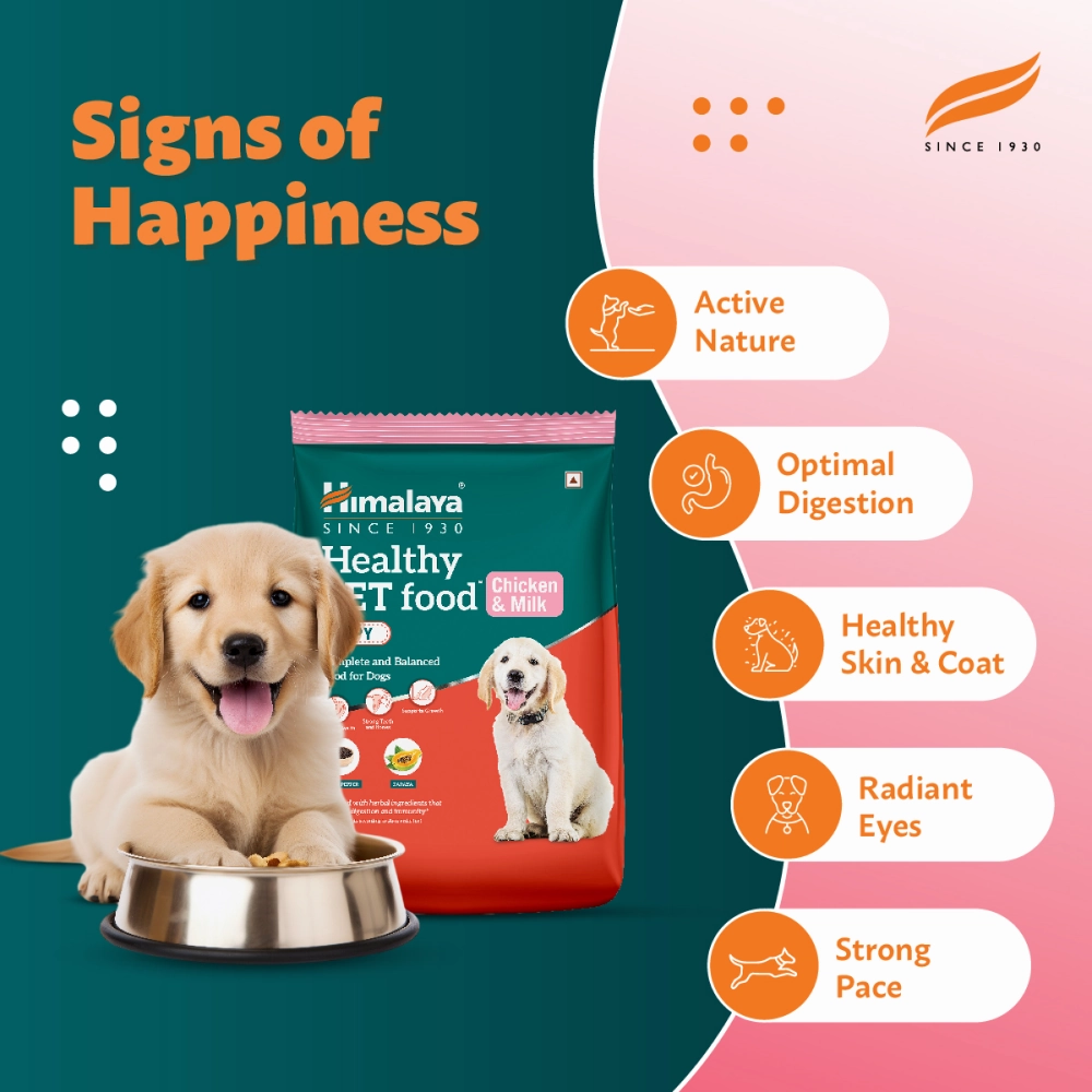 Himalaya Chicken & Milk Healthy Dry Food and Chicken Healthy Treats Puppy Combo