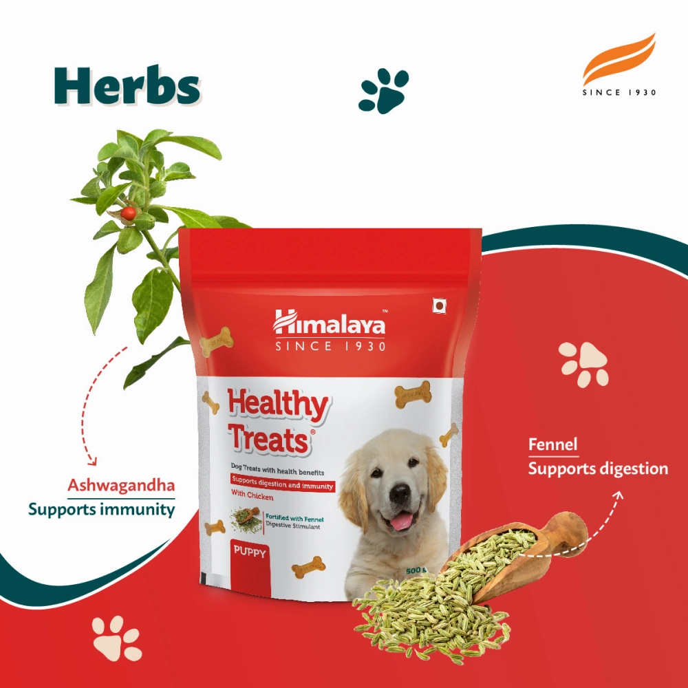 Himalaya Chicken Healthy Treats for Puppies