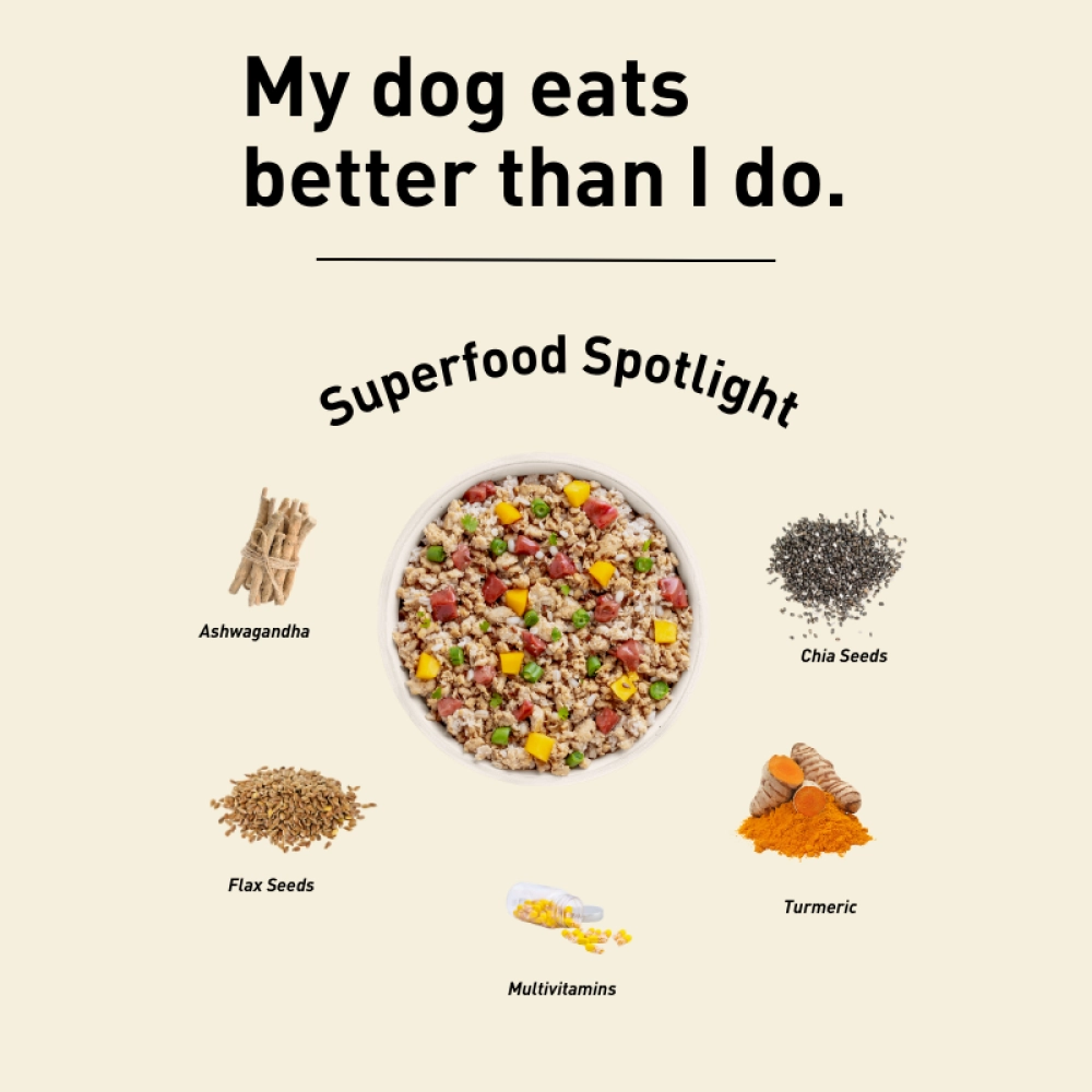 Homiee & Ginger Power Bowl Chicken & Barley Fresh Food for Dogs