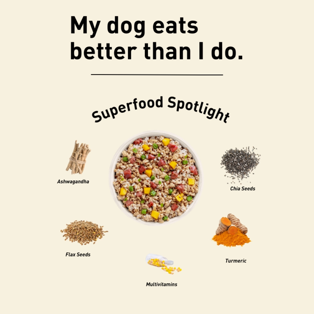 Homiee & Ginger Power Bowl Surf & Turf Fresh Food for Dogs