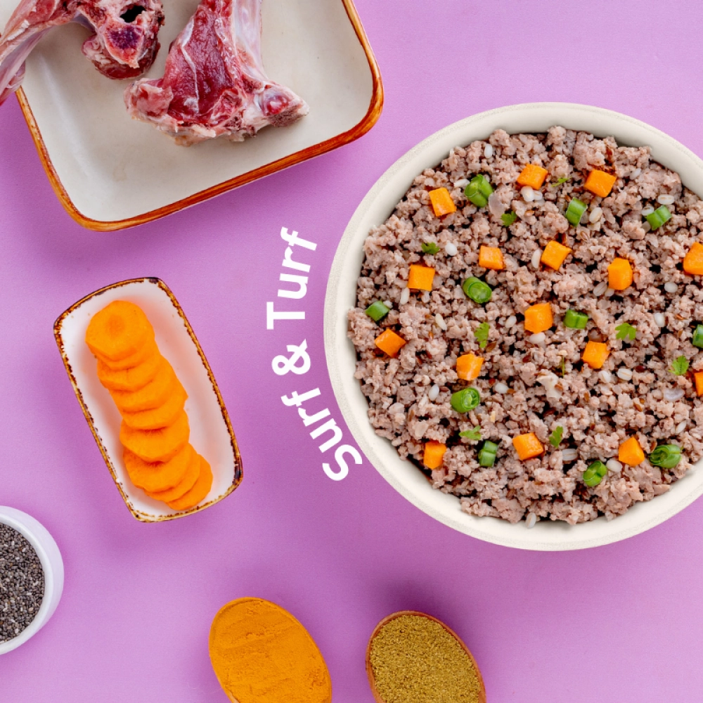 Homiee & Ginger Power Bowl Surf & Turf Fresh Food for Dogs