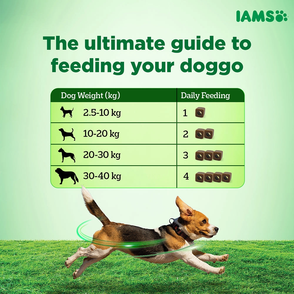 IAMS Proactive Health Dog Supplement For Healthy Immune System