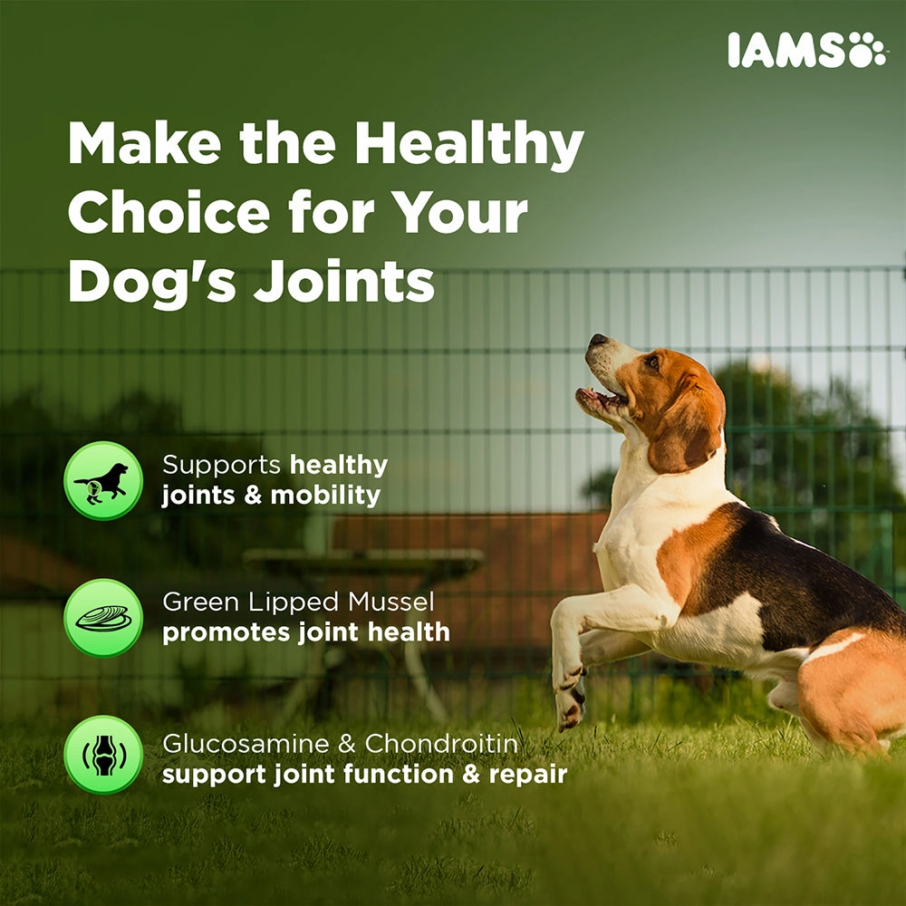 IAMS Proactive Health Dog Supplement For Joint Support