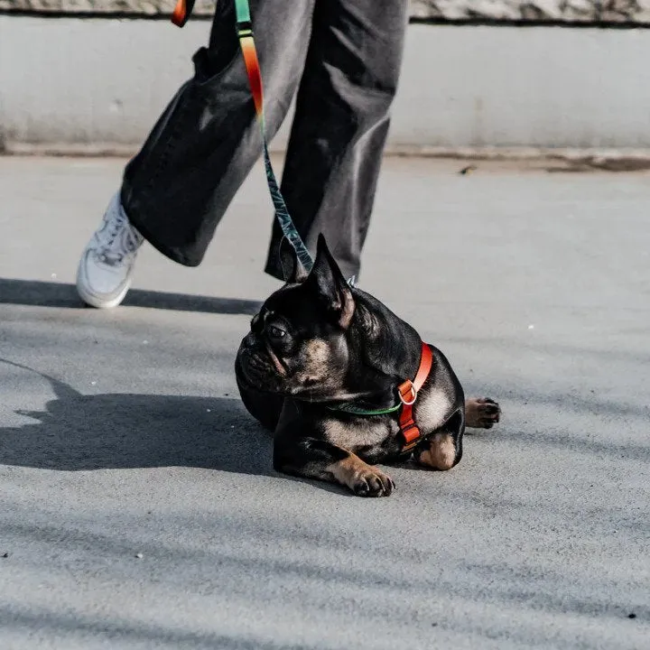 Ikonic Dog Leash