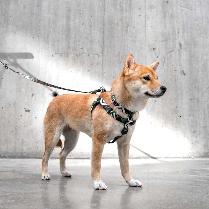 Ikonic Dog Leash
