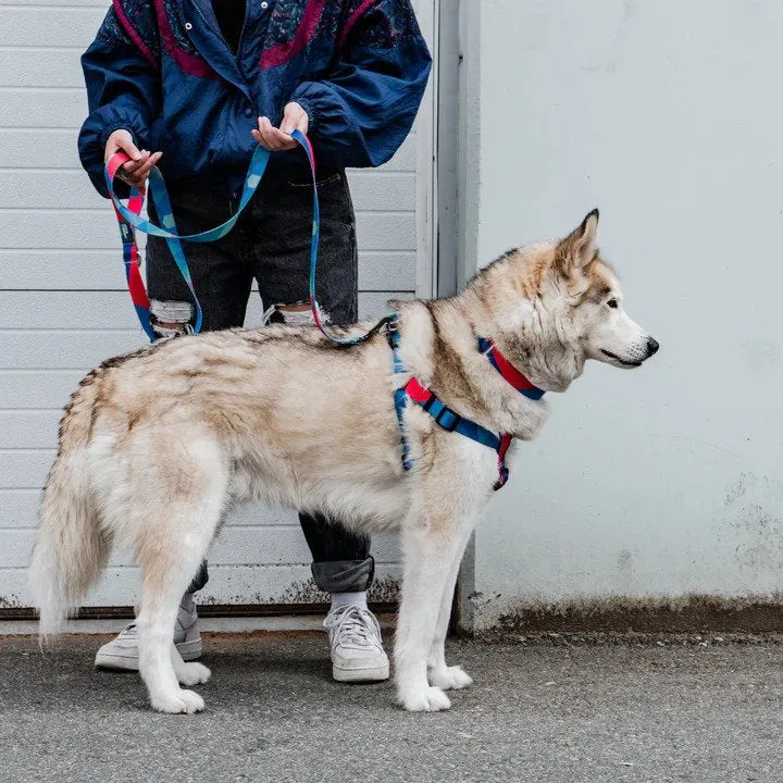 Ikonic Dog Leash