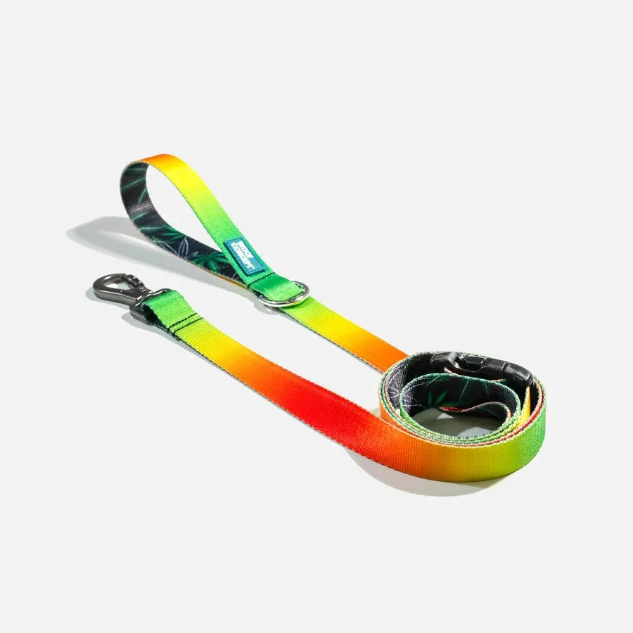 Ikonic Dog Leash