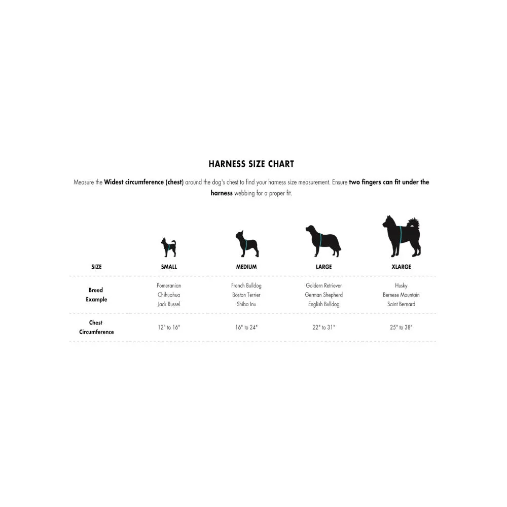 Ikonic Step-In Dog Harness