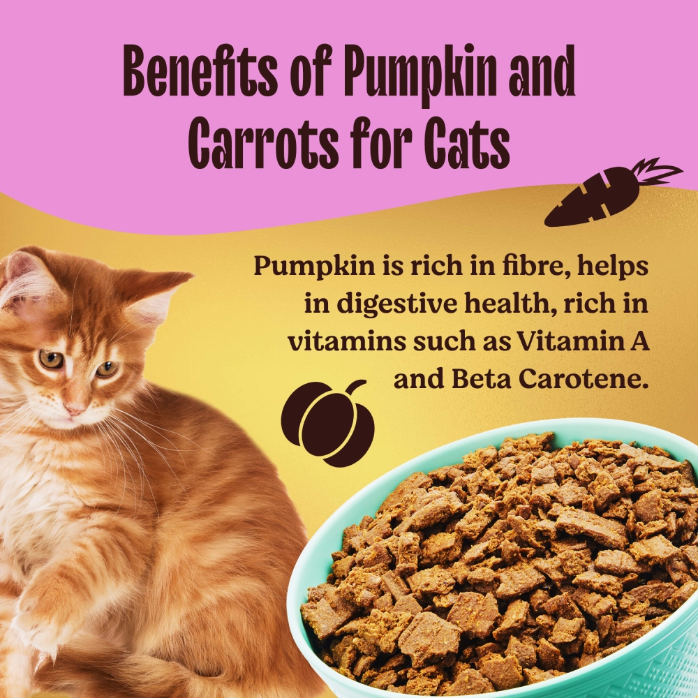 Kennel Kitchen Air Dried Chicken and Mackerel for Cat Dry Food (All Life Stage)