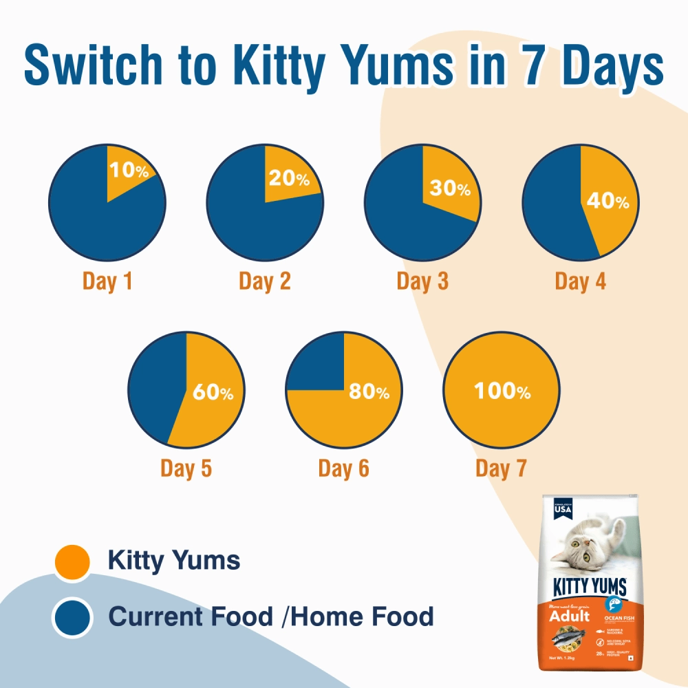 Kitty Yums Ocean Fish Adult (1  years) Cat Dry Food